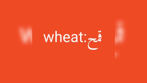 Wheat معنى كلمة