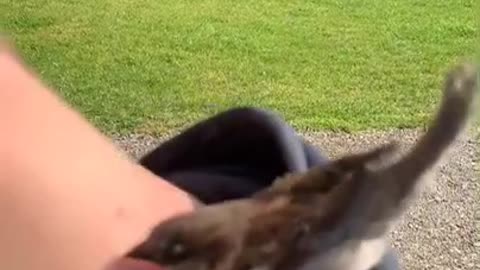 Get your hands off me