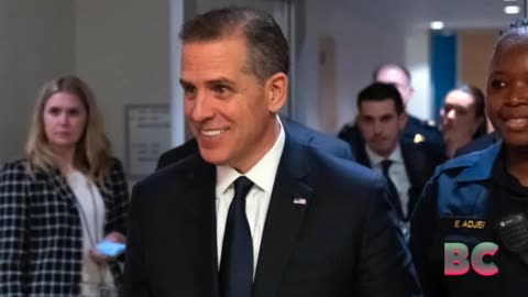 Hunter Biden reportedly sought US government help for Ukrainian gas company Burisma