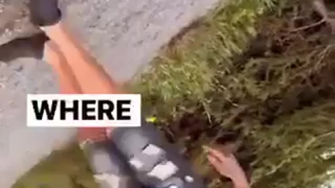 Canadian asks Indian immigrants to "go back"