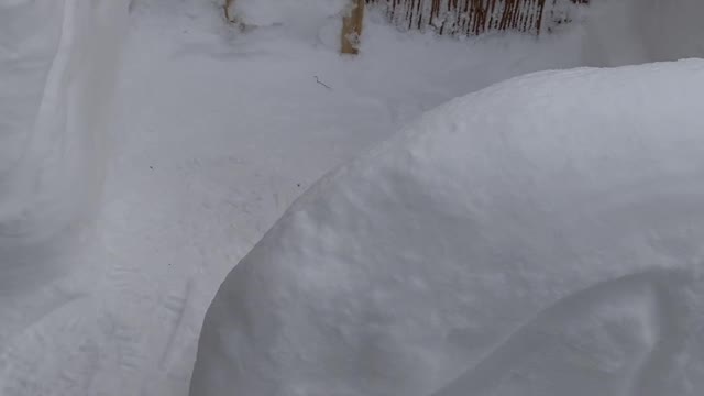 Woman Builds Balcony Ice Bar after Lockdown Snowfall