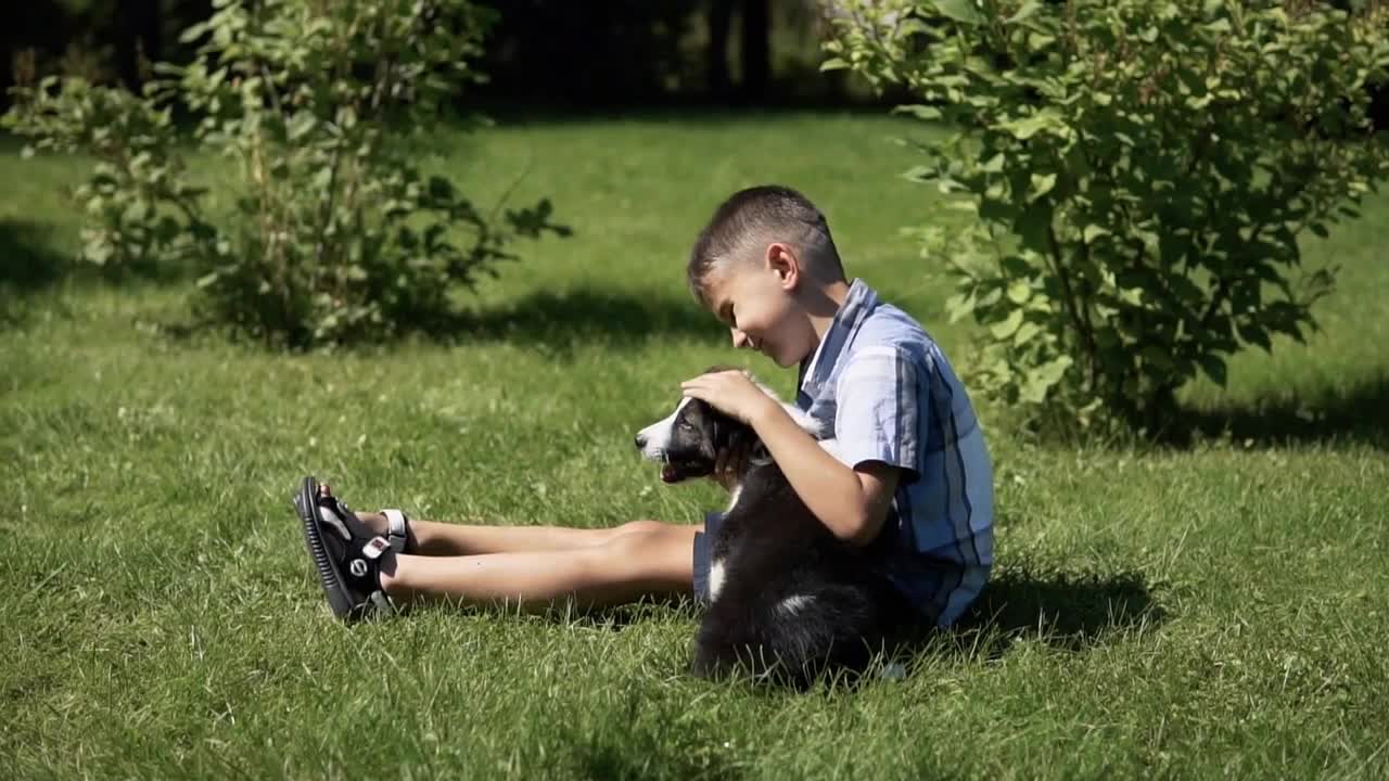 Little handsome little boy is playing with a dog in a park