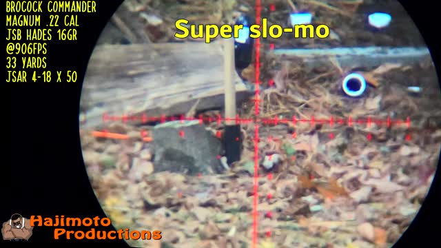 Hajimoto Pesting - Vole kill #33