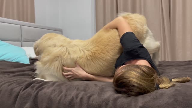 Golden Retriever Attacks Mom