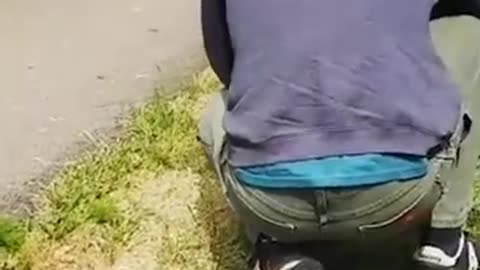 Amazing chicken