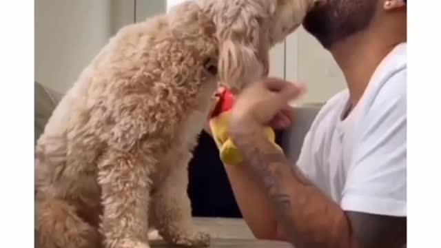 Whom does this dog loves more POO or his OWNER || This is loyalty