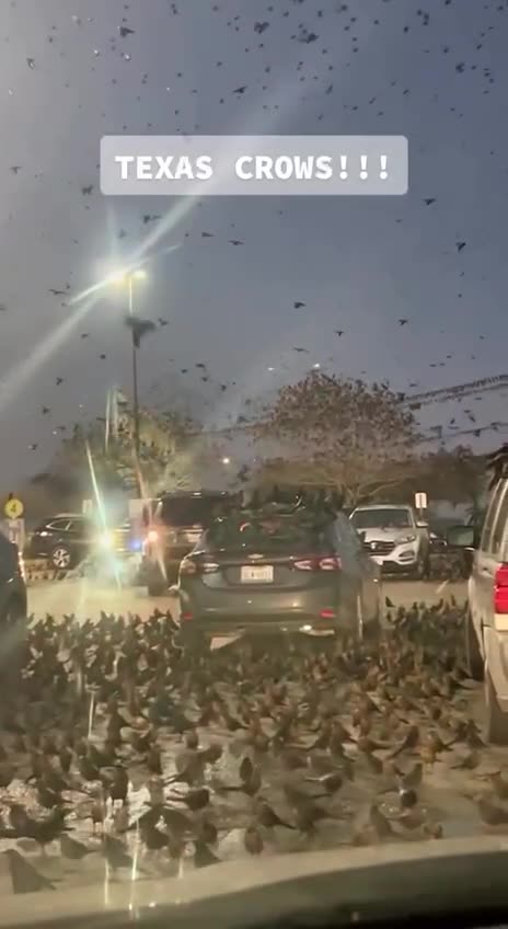 Gli uccelli protestano contro l'agenda 2030