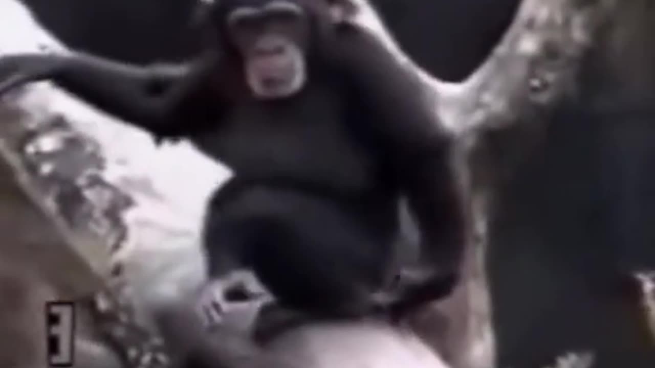Wait for it