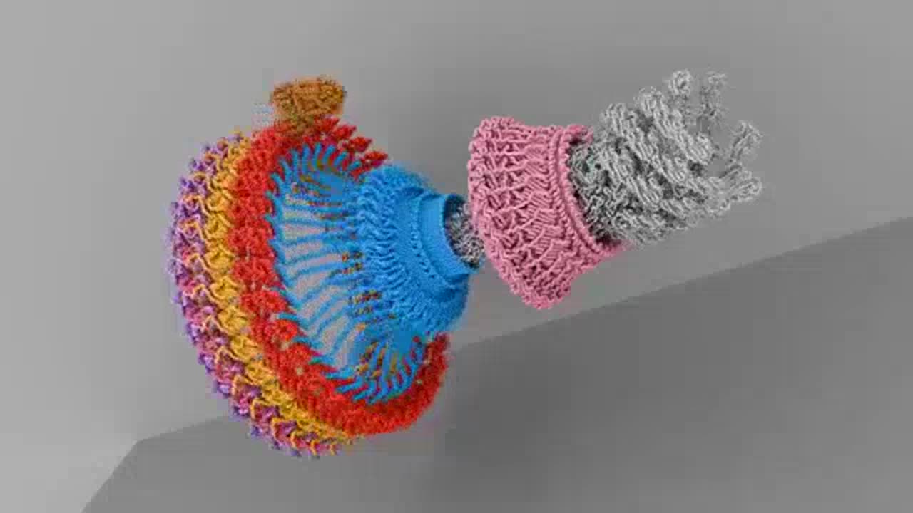 Cryo-EM: Protien Covered Quantifoil Mesh - Nano Device Replication/Assemblies