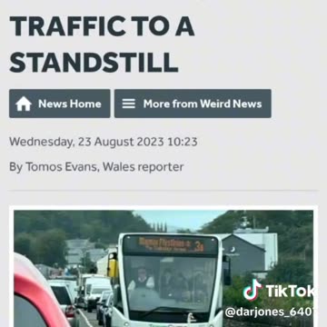 Black Swan Is Coming