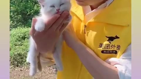 Human loves cat . Heart Touching video