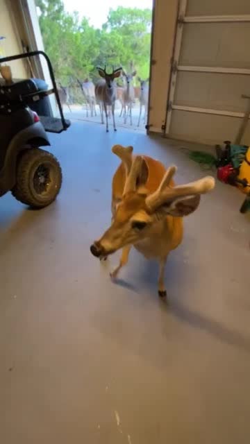 Feeding my neighbors