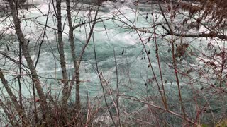 The Turquoise Beauty of Raging Metolius River – Central Oregon