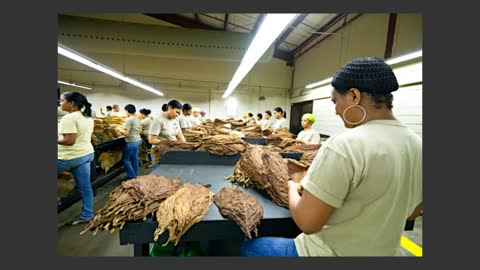 Dominican Republic Cigar Bloggers Tour General Cigar 2011