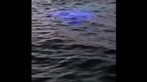 Possible USO Sighting