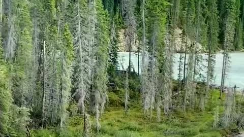 Solitude in nature ♥️