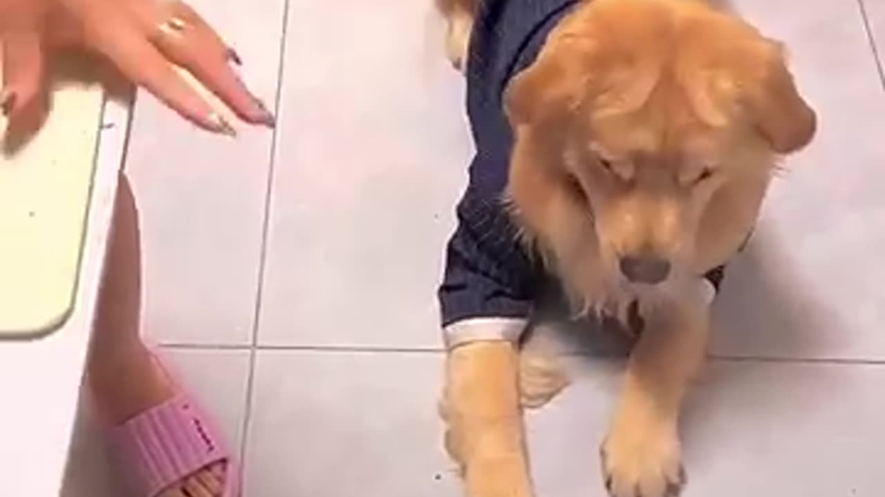 i am hungry