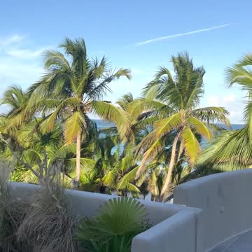 Copy of mansao-pablo-escobar-video