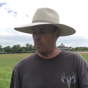 Indicting The World Economic Forum for the Terrorist Attack of Covid-19