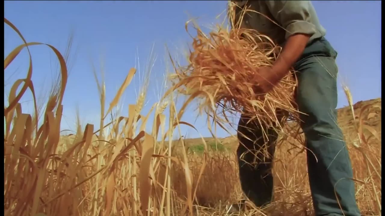 Holy Spirit POWER is About to Pour Out! (The Latter Rain Movie)