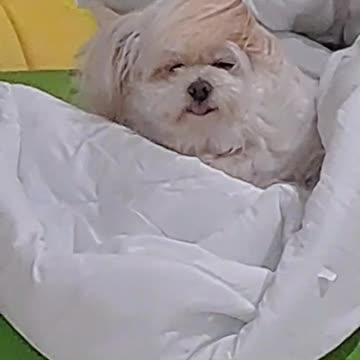 Mr.Presi・・・・