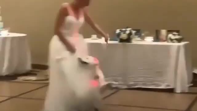 Best wedding dance 💃 💖 have you seen your 🐕 dancing like this?😏