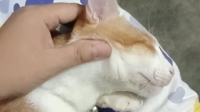 He is feeling so good🥰😁😁