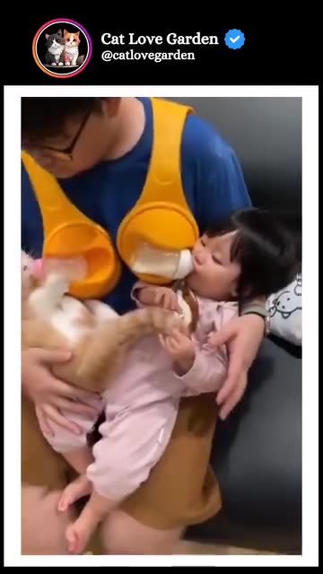 Funny moments with cat 🐈