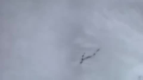 PCR TESZT A MIKROSZKÓP ALATT