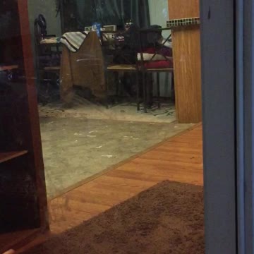 Scared of lightening and thunder!