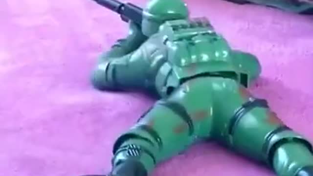 Funny Cats Compilation 🐱😁🐽