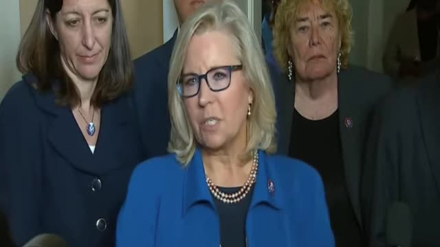 Liz Cheney: Republican Protests to Free January 6 Political Prisoners are a 'Disagrace'