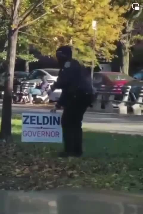 NYC official caught stealing LEE ZELDIN for gov signs the fix is in