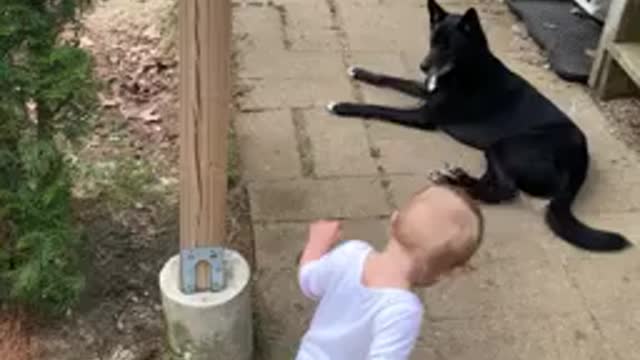This dog has seen enough