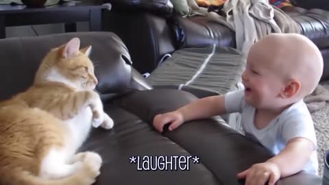 Cats funny video babies|| cat video and with cute baby