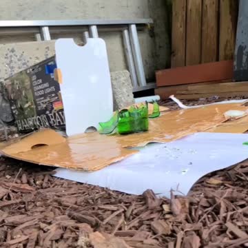 22 caliber pellet vs thick bottle reversed