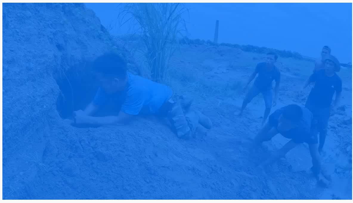 Hunter Kills 3 Giant Phytons And Dog Will Disappear In Hole