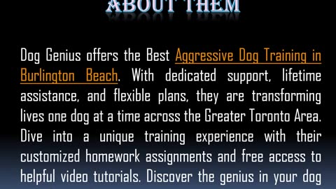 Best Obedience Training in Burlington Beach