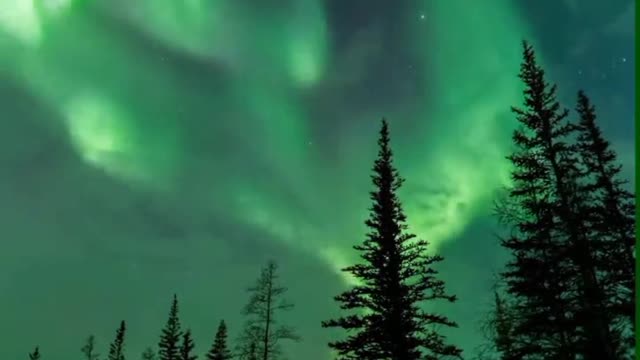 Northern light and our planet green view #natural #phenomenon of Nature