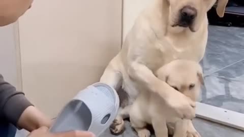 Mom ist the ....❤️