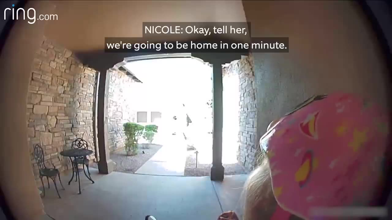 Taylor Talks to Her Neighbor On Ring Video Doorbell After Running Away From a Bobcat |