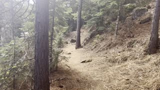 Quintessential Deschutes River Wilderness Hiking – Central Oregon – 4K