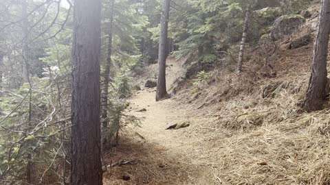Quintessential Deschutes River Wilderness Hiking – Central Oregon – 4K