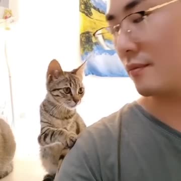 Funny_animals_2023😆_-_Funniest_Cats_and_Dogs_Video🐕🐈217_#shorts(1080p60)