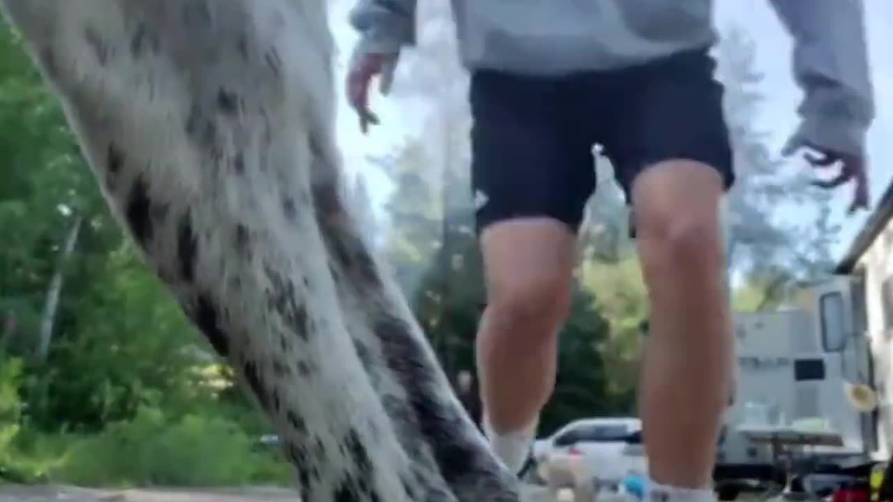 funny fails video 86 Fail Nature shorts fails