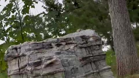 This stone is very nice