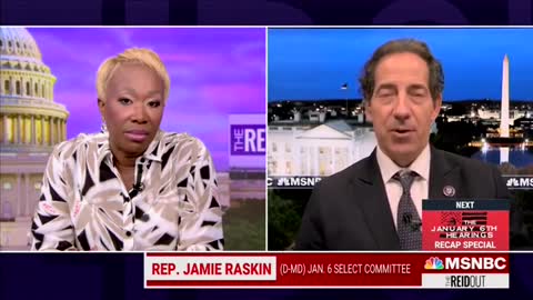 Raskin: 'I Found Her Testimony 100% Credible'