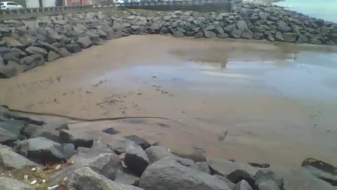 Showing the beach rocks right on the edge, there are cars on the track [Nature & Animals]