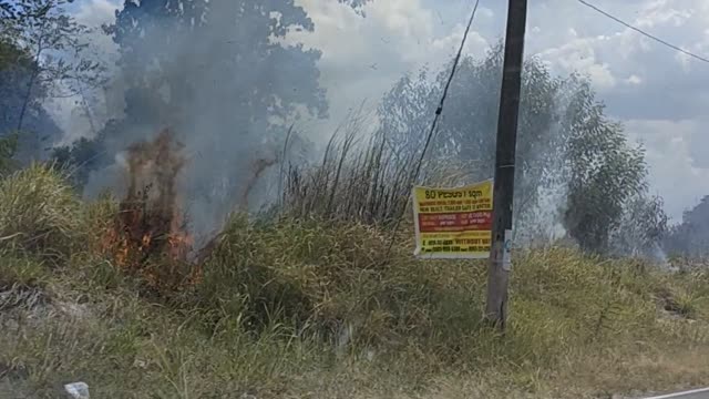 Grass fire along the road