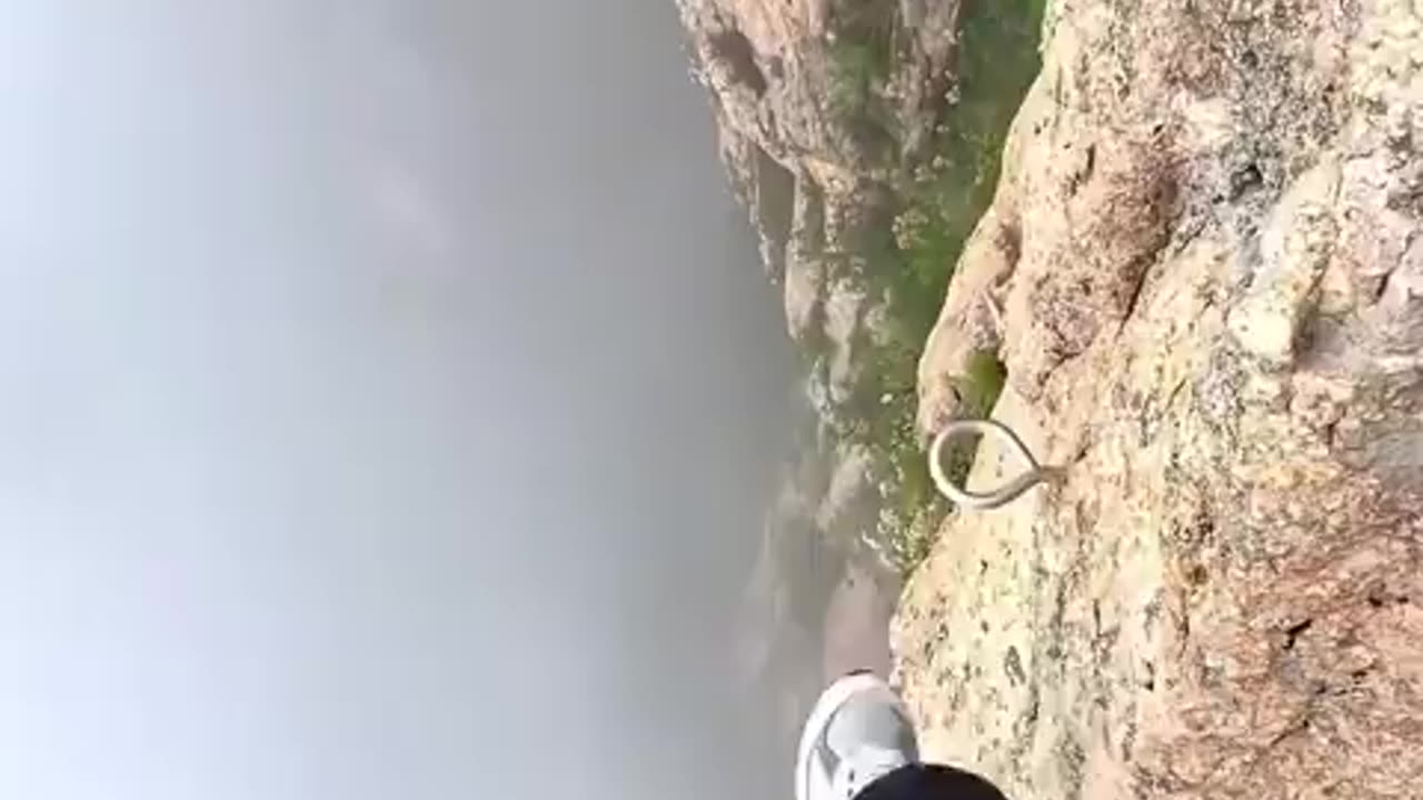 Would you walk this?